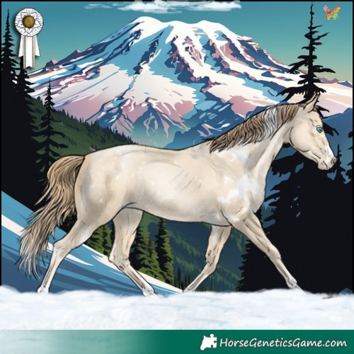 Horse Color:White Spotted Sable Cream Champagne Pearl 
