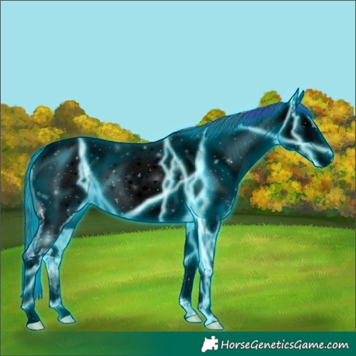 Horse Color:Void Thunderstruck Blue Onyx Ice Tobiano Appaloosa