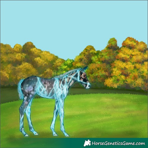 Horse Color:Void Thunderstruck Red Onyx Ice Tobiano Near Leopard 