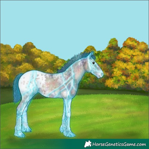 Horse Color:Nacre Thunderstruck Liver Red Onyx Ice Tobiano Blanket
