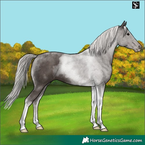 Horse Color:Silver Black Tobiano 