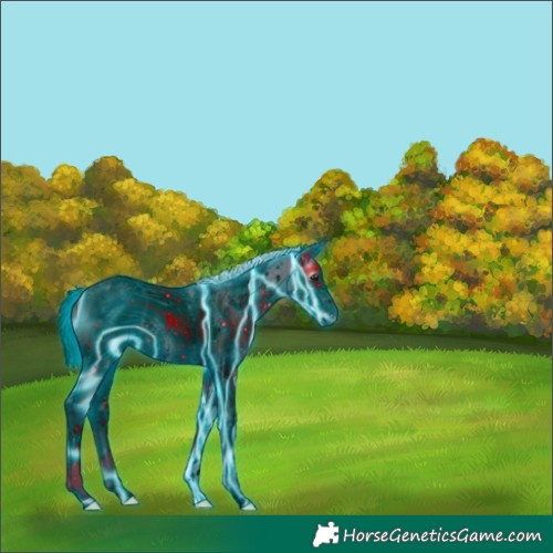 Horse Color:ERROR: UNKNOWN ANOMALY