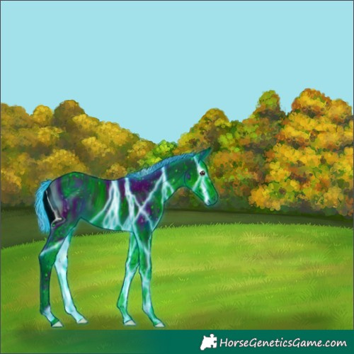 Horse Color:ERROR: UNKNOWN ANOMALY