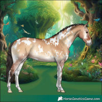 Horse Color:White Spotted Bay Onyx Rabicano