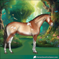 Horse Color:White Spotted Bay Onyx Tobiano Rabicano 