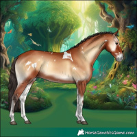 Horse Color:White Spotted Bay Onyx Tobiano Rabicano