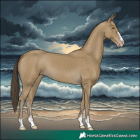 Horse Color:Classic Cream Champagne