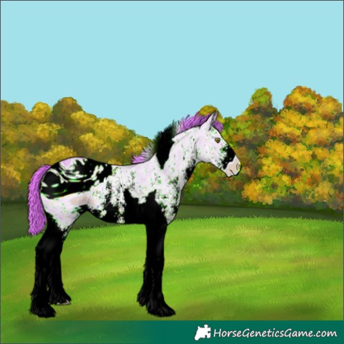 Horse Color:ERROR: UNKNOWN ANOMALY