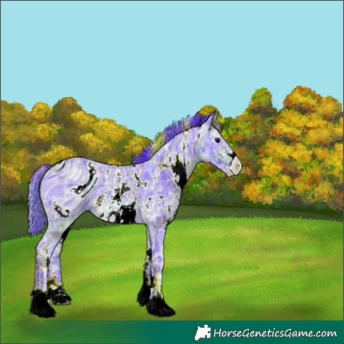 Horse Color:ERROR: UNKNOWN ANOMALY