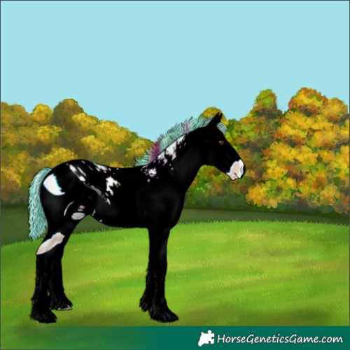 Horse Color:ERROR: UNKNOWN ANOMALY