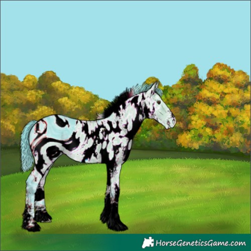 Horse Color:ERROR: UNKNOWN ANOMALY