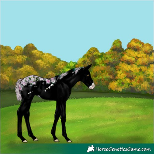 Horse Color:Watercolor Plaid White Spotted Silver Brown Ice Pearl