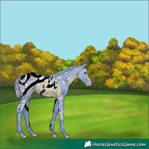 Horse Color:ERROR: UNKNOWN ANOMALY