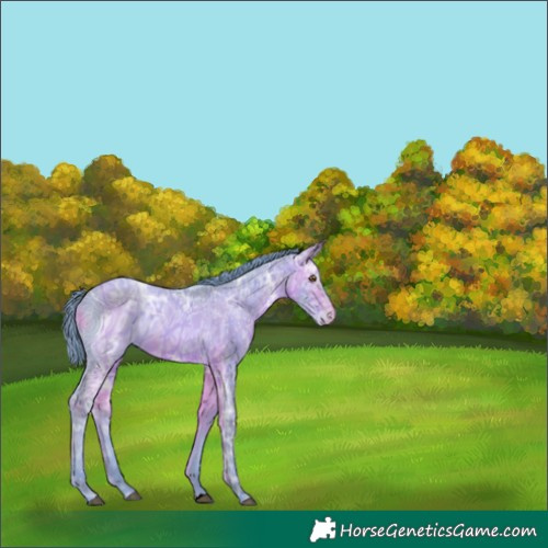 Horse Color:ERROR: UNKNOWN ANOMALY