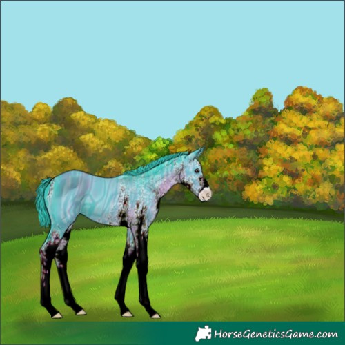 Horse Color:ERROR: UNKNOWN ANOMALY
