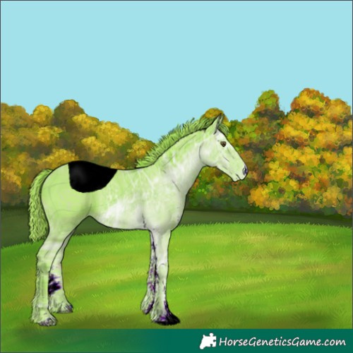Horse Color:ERROR: UNKNOWN ANOMALY
