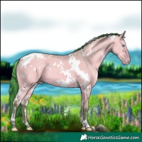 Horse Color:Watercolor White Spotted Amber Champagne Dun 