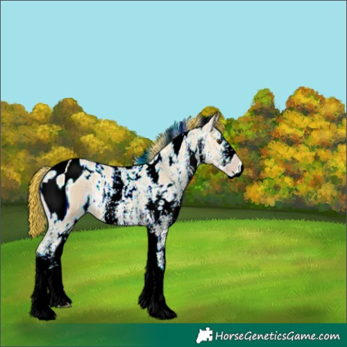 Horse Color:ERROR: UNKNOWN ANOMALY