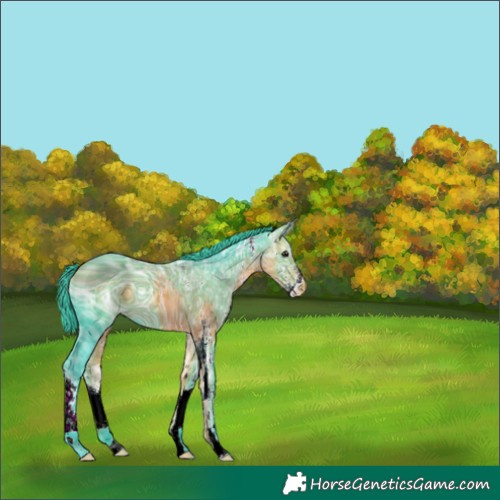 Horse Color:ERROR: UNKNOWN ANOMALY