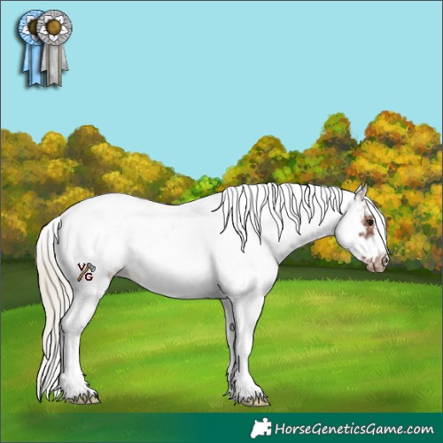 Horse Color:White Spotted Silver Black Tobiano Frame Appaloosa 
