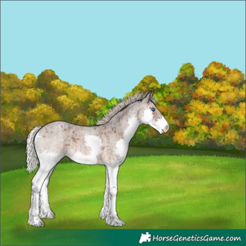 Horse Color:Silver Brown Roan Dun Splash Varnish Brindle 