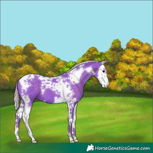 Horse Color:Watercolor Silver Black Splash Tobiano 