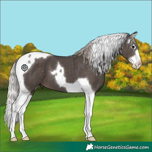 Horse Color:Silver Black Splash Tobiano 