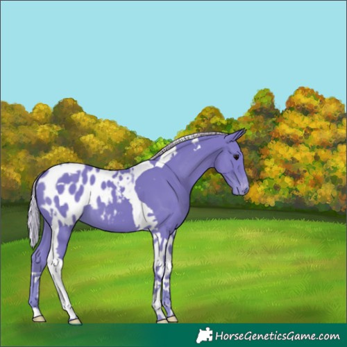 Horse Color:Watercolor Silver Black Tobiano Blanket 