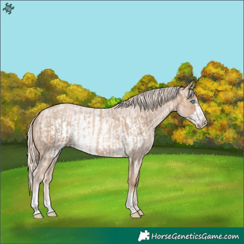 Horse Color:Chocolate Palomino Pearl Tobiano Frame  and Chocolate Palomino Roan Pearl Frame 