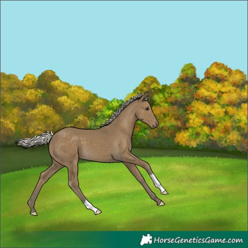 Horse Color:Silver Smoky Black 
