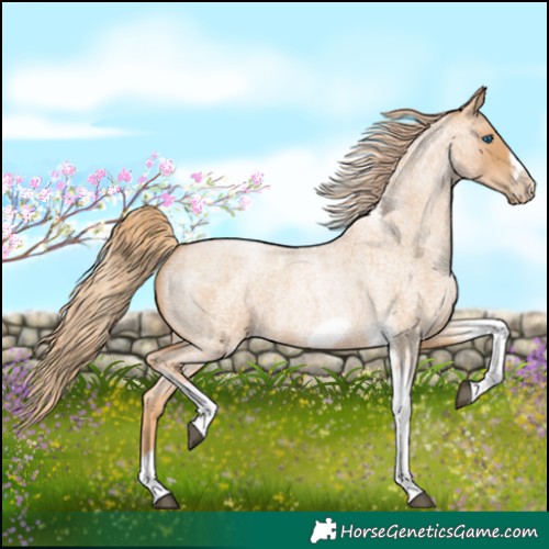 Horse Color:Red Roan Pearl Tobiano Frame