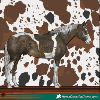 Horse Color:Silver Buckskin Sabino Tobiano
