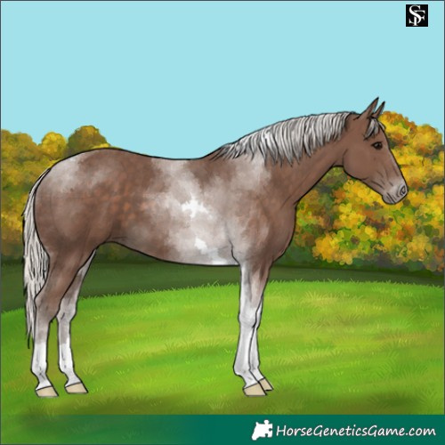 Horse Color:Silver Black Tobiano 