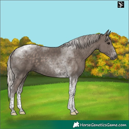 Horse Color:Silver Black Tobiano 
