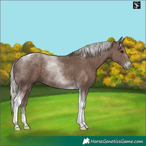 Horse Color:Silver Black Tobiano 