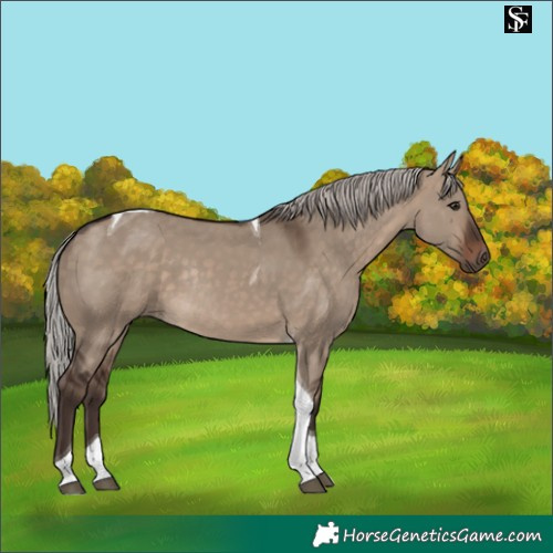 Horse Color:Silver Brown Dun Tobiano Rabicano 