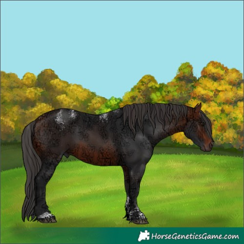 Horse Color:Powder White Bay Ice Rabicano 