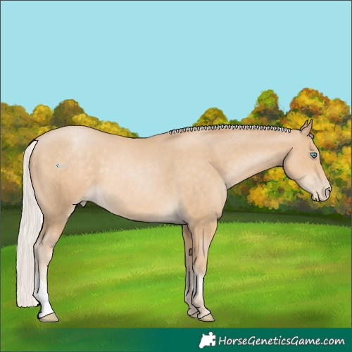 Horse Color:Silver Smoky Black Pearl 