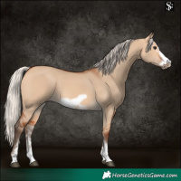 Horse Color:Silver Bay Dun Sabino Tobiano Frame Rabicano 