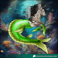 Horse Color:Gray White Spotted Brown Dun Rabicano