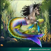 Horse Color:Gray White Spotted Brown Dun Rabicano 
