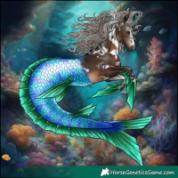 Horse Color:Gray White Spotted Silver Brown Rabicano 