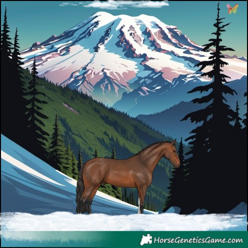 Horse Color:Bay Tobiano 