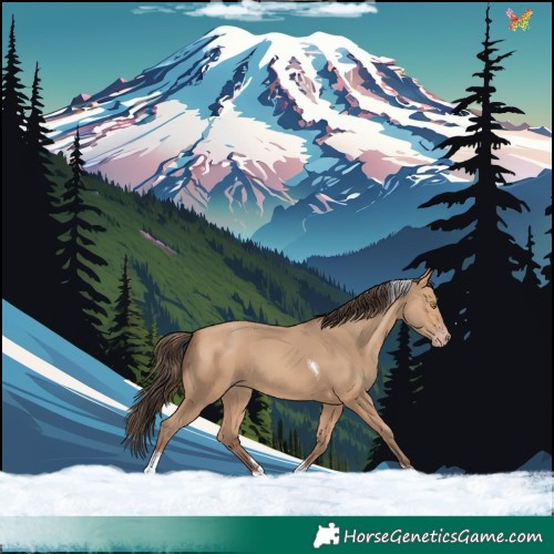 Horse Color:Amber Champagne Tobiano 