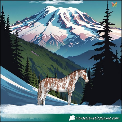 Horse Color:Chestnut Sabino Splash 