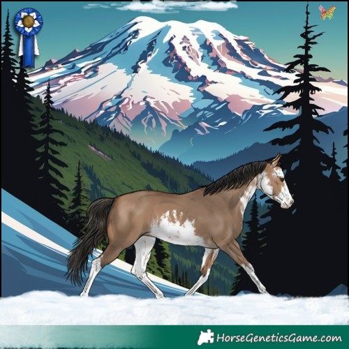 Horse Color:White Spotted Bay Dun 