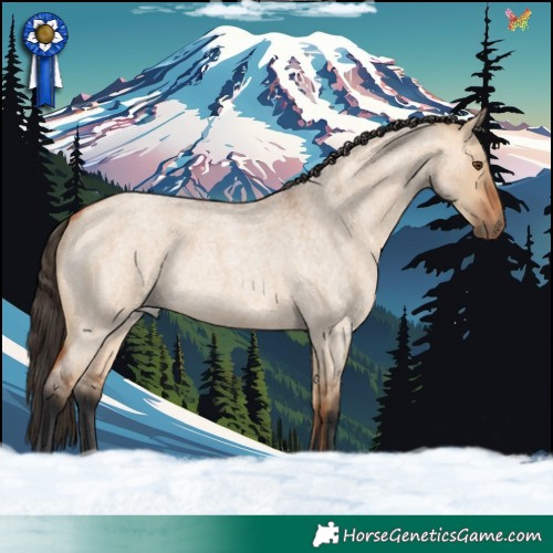 Horse Color:Bay Roan Dun Rabicano 