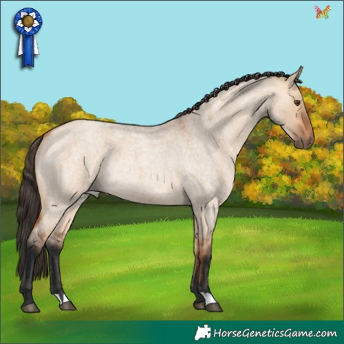 Horse Color:Bay Roan Dun Rabicano 