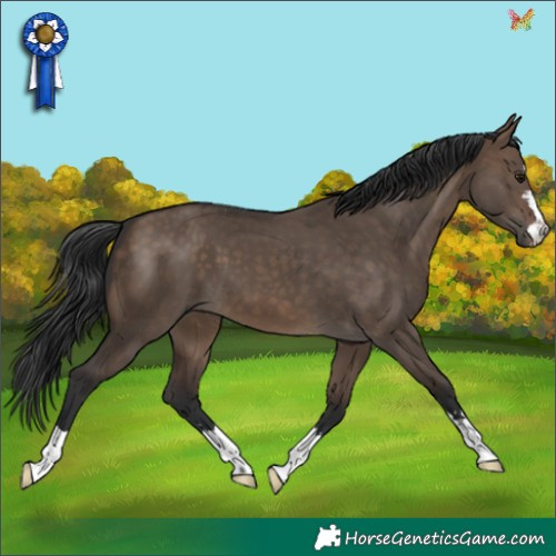 Horse Color:Brown Dun