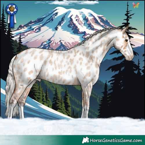 Horse Color:White Spotted Silver Bay Roan Dun Near Leopard 